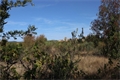 Image du bien UBI470950844